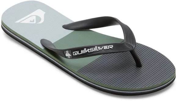 Сланцы Quiksilver MOLOKAI STRIPE SNDL XKSG AQYL101361-XKSG