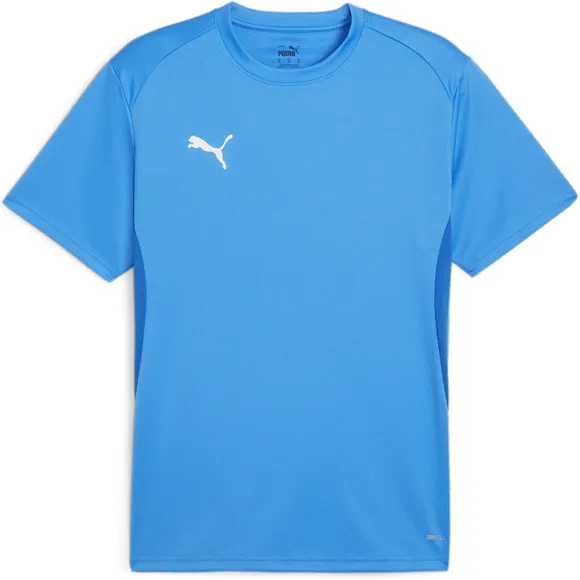 Футболка Puma teamGOAL  Jersey