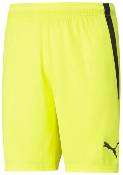 Шорты Puma teamLIGA Shorts