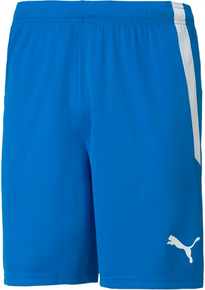 Шорты Puma teamLIGA Shorts 70492402