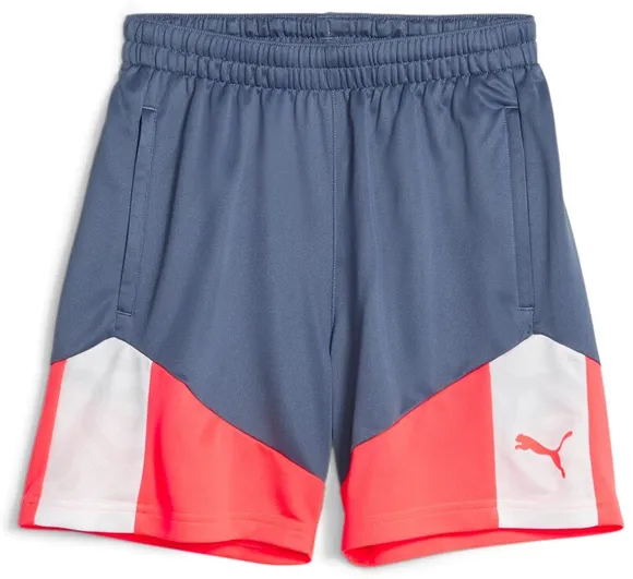 Шорты Puma individualCUP Shorts Jr 65848653