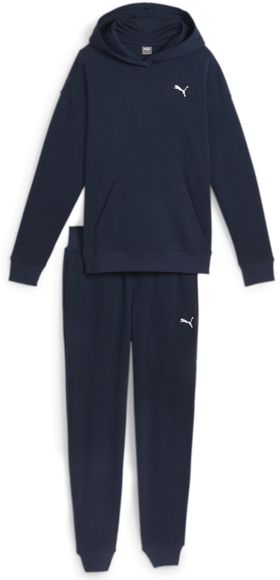 Спортивный костюм Puma Loungewear Suit TR