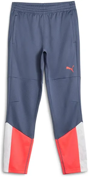 Брюки Puma individualCUP Training Pants Jr 65848853