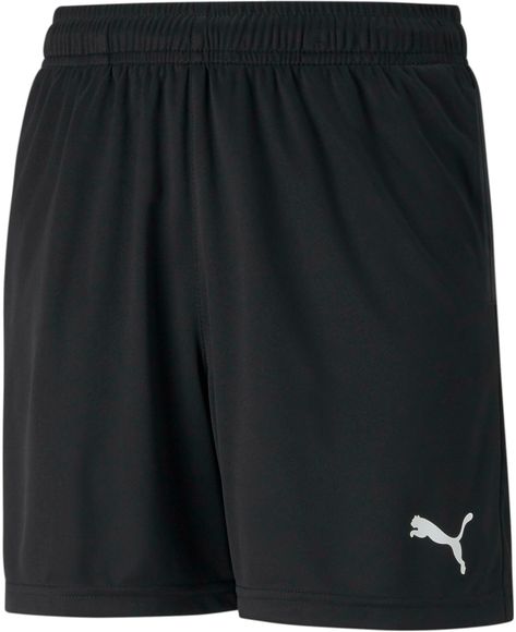 Шорты Puma teamRISE Training Shorts Jr 65733703