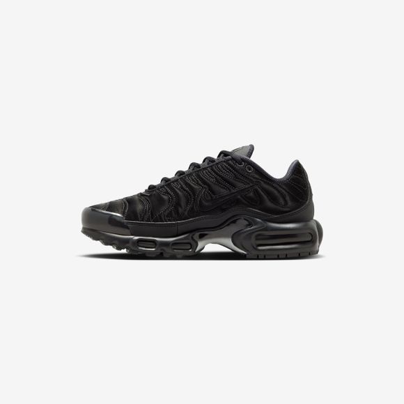 Кроссовки Nike Air Max Plus FV1169-001