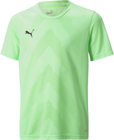 Футболка Puma teamGLORY Jersey Jr