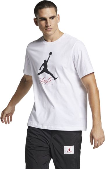 Футболка Nike JUMPMAN FLIGHT HBR TEE AO0664-100