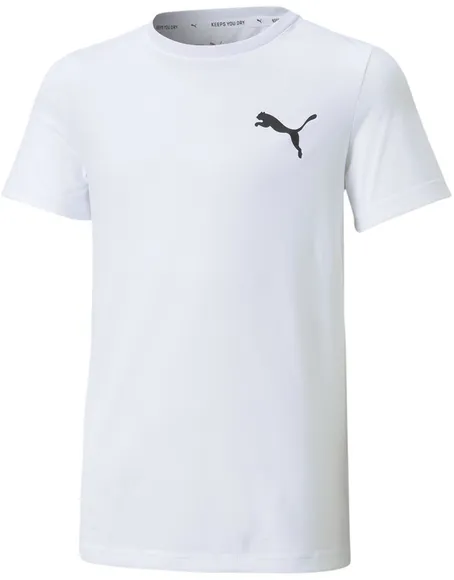 Футболка Puma ACTIVE Small Logo Tee B 58698002