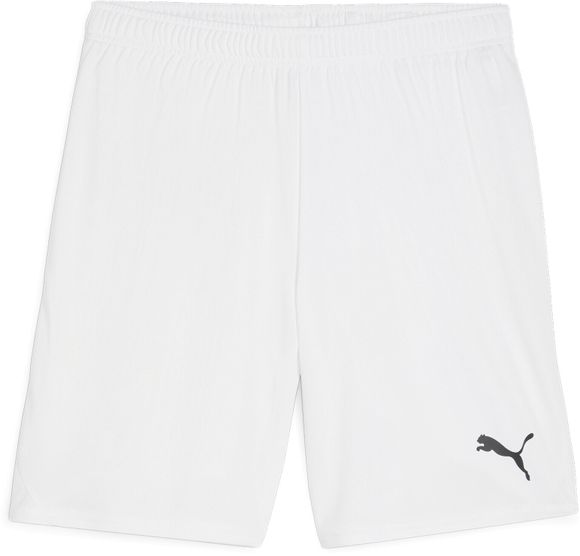 Шорты Puma teamGOAL Shorts 70575204