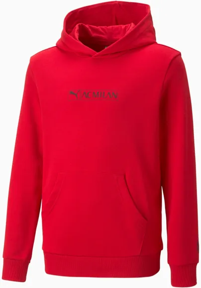 Толстовка Puma ACM FtblLegacy Hoody Jr 76933802