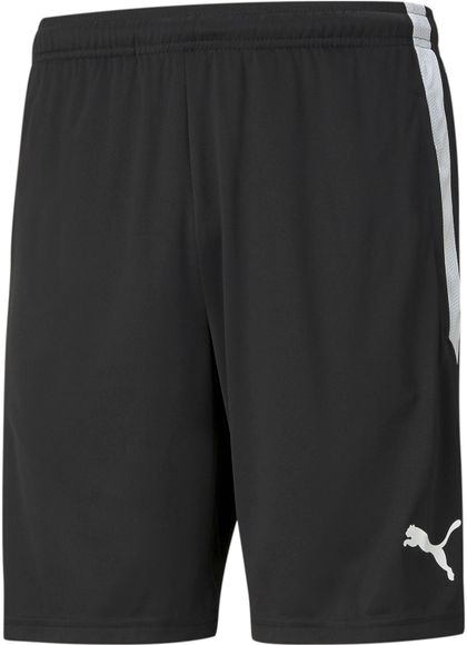 Шорты Puma teamLIGA Training Shorts 65724903