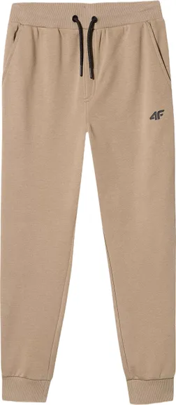 Брюки 4F TROUSERS CAS M131 4FJSS23TTROM131-83S