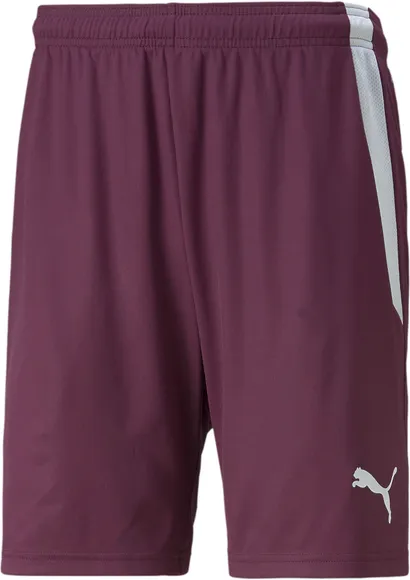 Шорты Puma teamLIGA Shorts 70492424