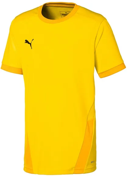 Футболка Puma teamGOAL 23 Jersey jr 70416007