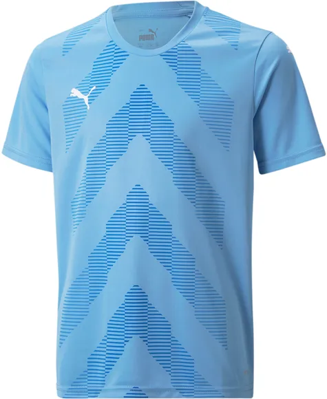 Футболка Puma teamGLORY Jersey Jr 70530918