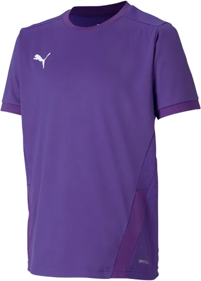 Футболка Puma teamGOAL 23 Jersey jr 70416010