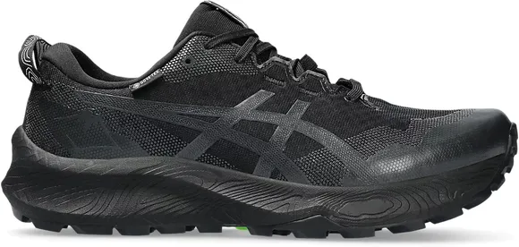 Кроссовки Asics GEL-Trabuco 12 GTX 1011B801-002