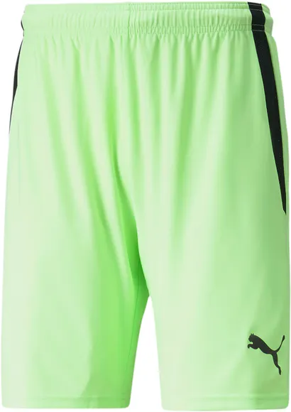 Шорты Puma teamLIGA Shorts 70492420