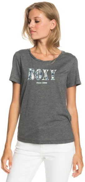 Футболка Roxy CHASINGSWELL B J TEES KVJ0 ERJZT05179-KVJ0