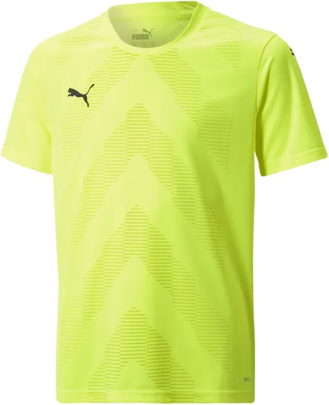 Футболка Puma teamGLORY Jersey Jr 70530922