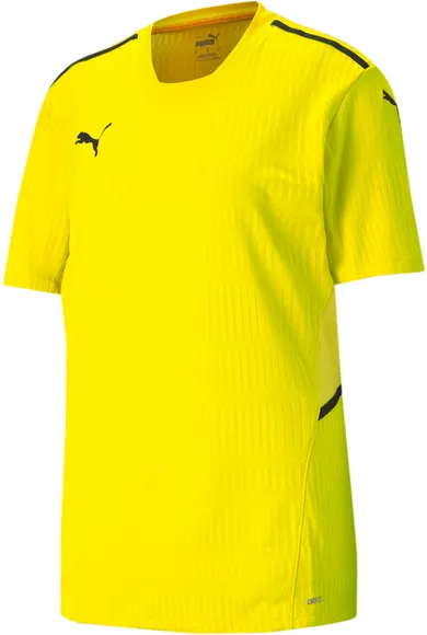 Футболка Puma teamCUP Jersey 70438607