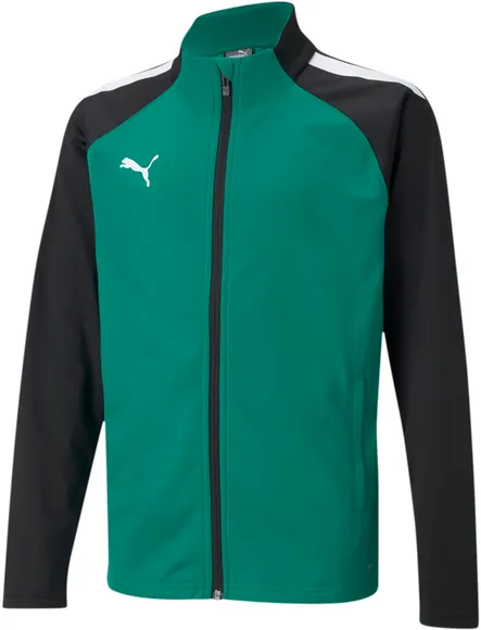 Олимпийка Puma teamLIGA Training Jacket Jr 65723505