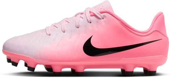 Бутсы Nike JR LEGEND 10 ACADEMY FG/MG DV4348-601