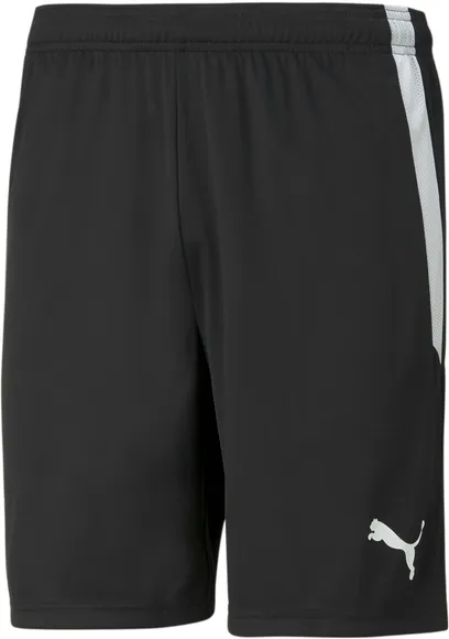 Шорты Puma teamLIGA Shorts 70492403