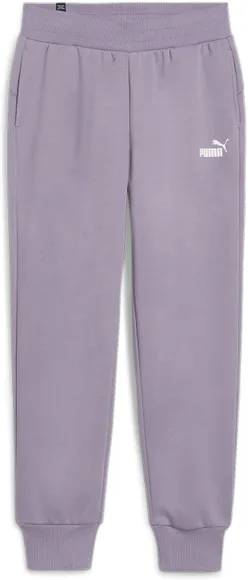 Брюки Puma ESS Sweatpants FL cl (s)