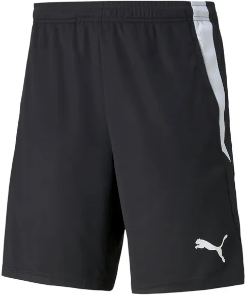 Шорты Puma teamLIGA Training Shorts 2 (open pockets) 65766703