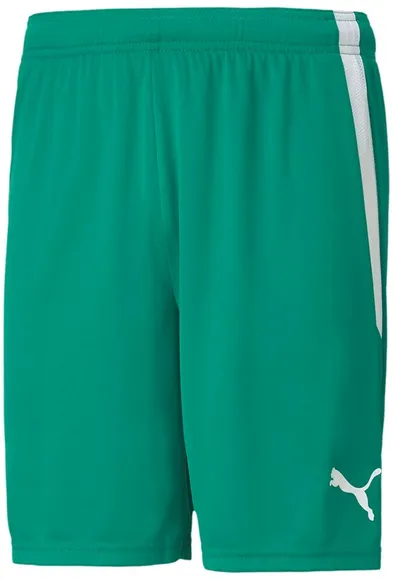 Шорты Puma teamLIGA Shorts 70492405