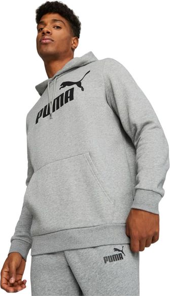 Толстовка Puma ESS Big Logo Hoodie FL 58668603