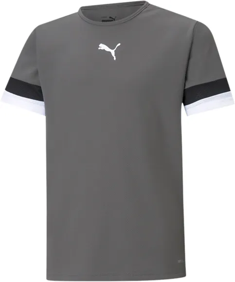 Футболка Puma teamRISE Jersey Jr 70493813