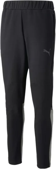 Брюки Puma teamCUP Casuals Pants 65798803