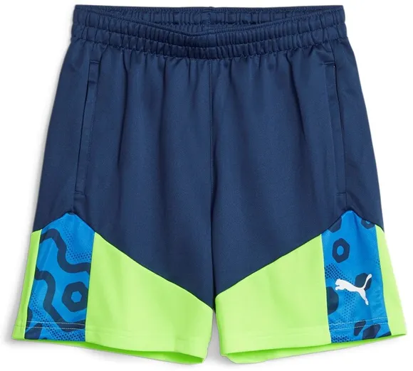 Шорты Puma individualCUP Shorts Jr 65848654