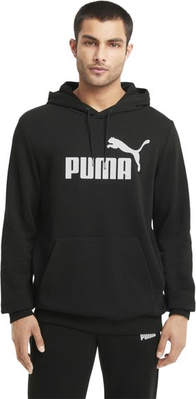 Толстовка Puma ESS Big Logo Hoodie TR 58668801