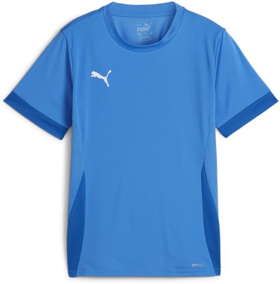 Футболка Puma teamGOAL Matchday Jersey jr 70574802