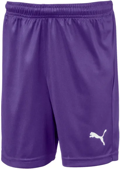 Шорты LIGA Shorts Core Jr Prism Violet-Puma Wh 70343710