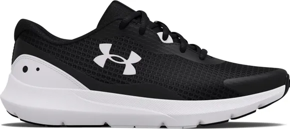 Кроссовки Under Armour UA W Surge 3 3024894-001