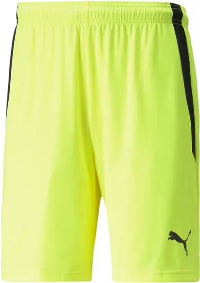 Шорты Puma teamLIGA Shorts 70492422