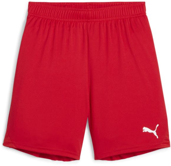 Шорты Puma teamGOAL Shorts Jr