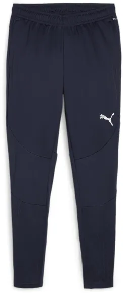 Брюки Puma teamFINAL Training Pants