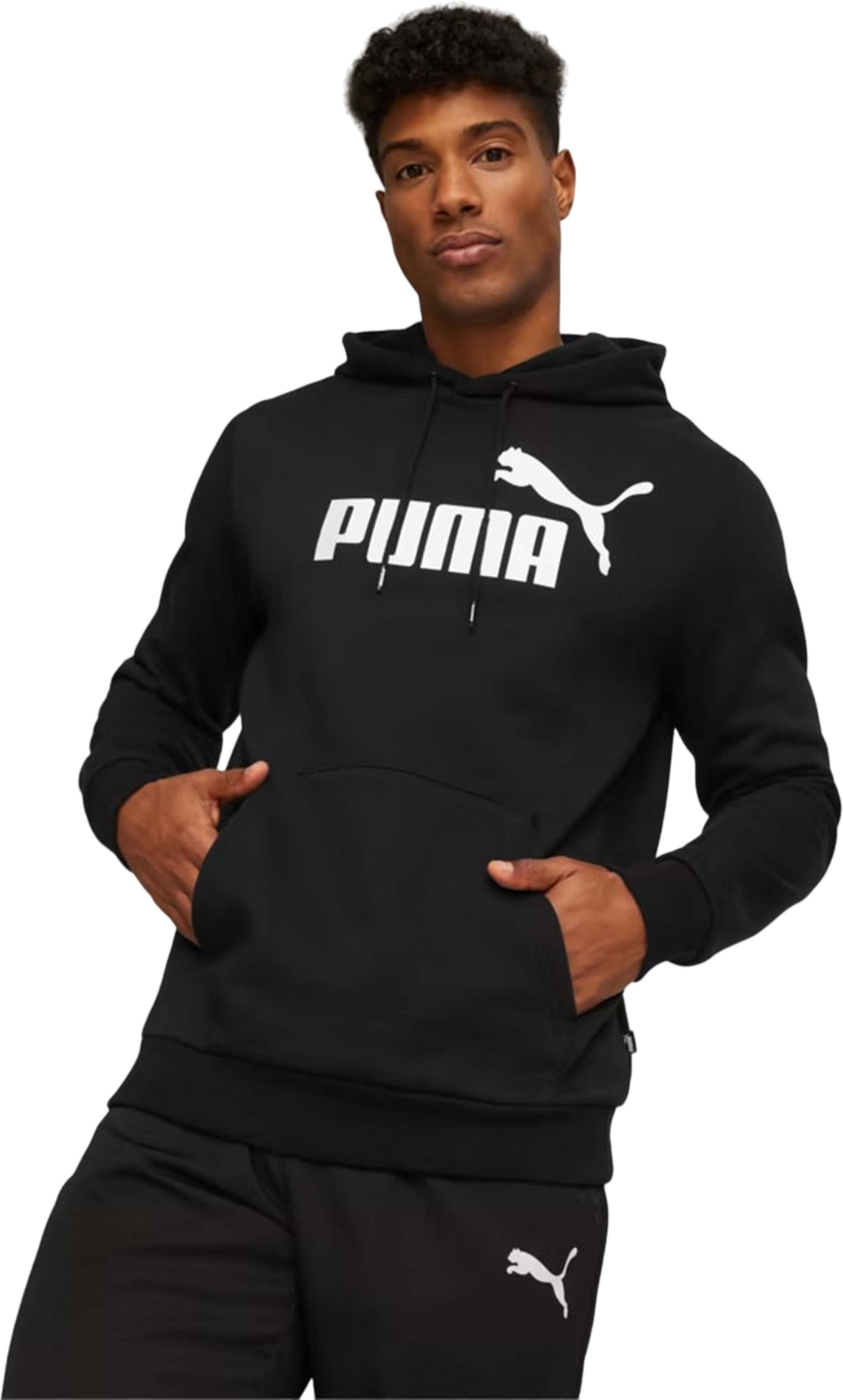 Толстовка Puma ESS Big Logo Hoodie FL