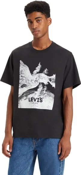 Футболка Levis SS RELAXED FIT TEE BLACKS 16143-1370