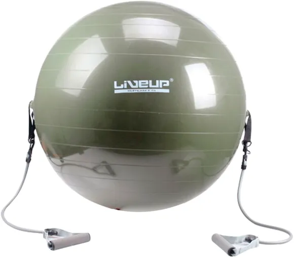 Фитбол и эспандер LiveUp GYM BALL WITH EXPANDER LS3227