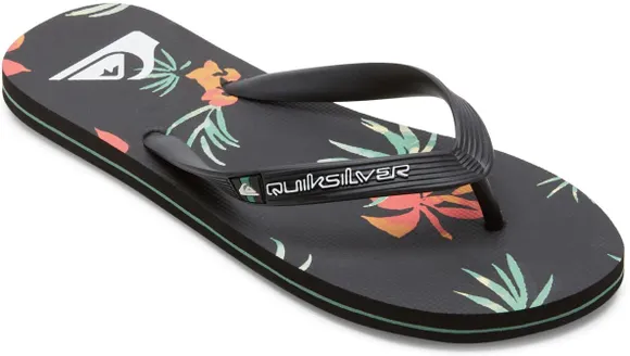 Сланцы Quiksilver MOLOKAI ART II SNDL XKNG AQYL101360-XKNG