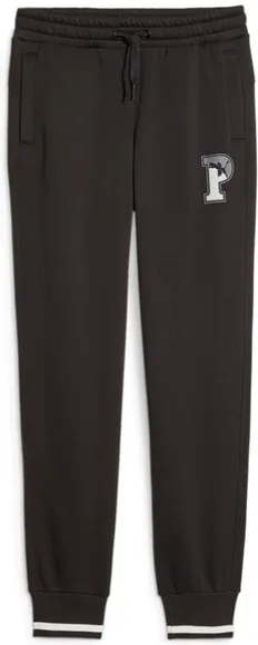 Брюки PUMA SQUAD Sweatpants FL cl B 67635701