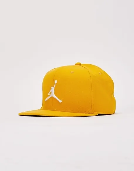 Бейсболка Nike Air Jordan Pro Cap S FB Jumpman FV5296-752