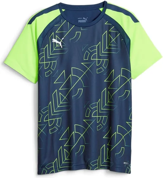 Футболка Puma teamLIGA Graphic Jersey Jr 65829854