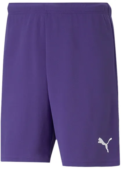 Шорты Puma teamRISE Short